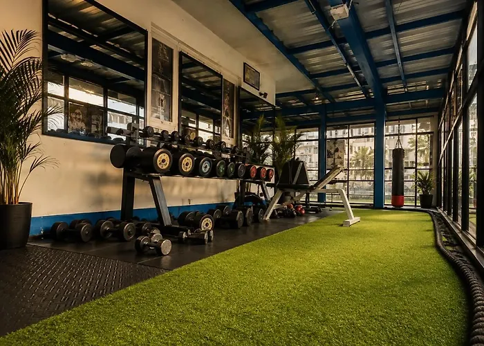 The Yogi Grove At Mystic Vibes Fitness